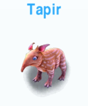 Tapir             